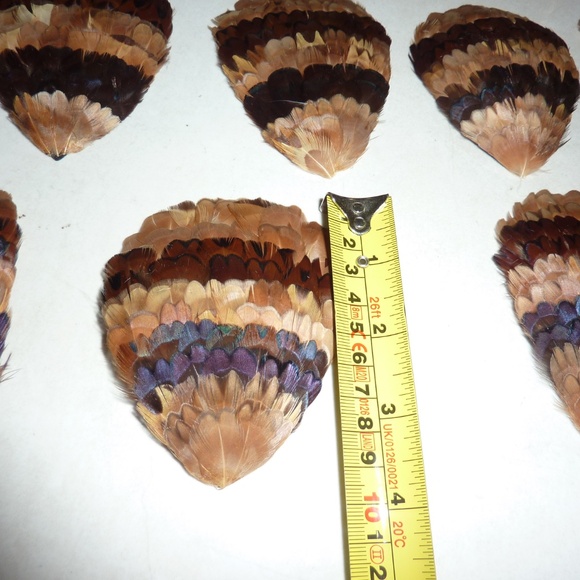 WESTERN GERMANY Vintage FEATHER BIRDS  Browns LOT OF 13  For Crafting Etc - Picture 5 of 8